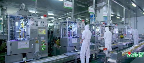 金鑼 誠信筑基,守護食品安全,引領健康美味